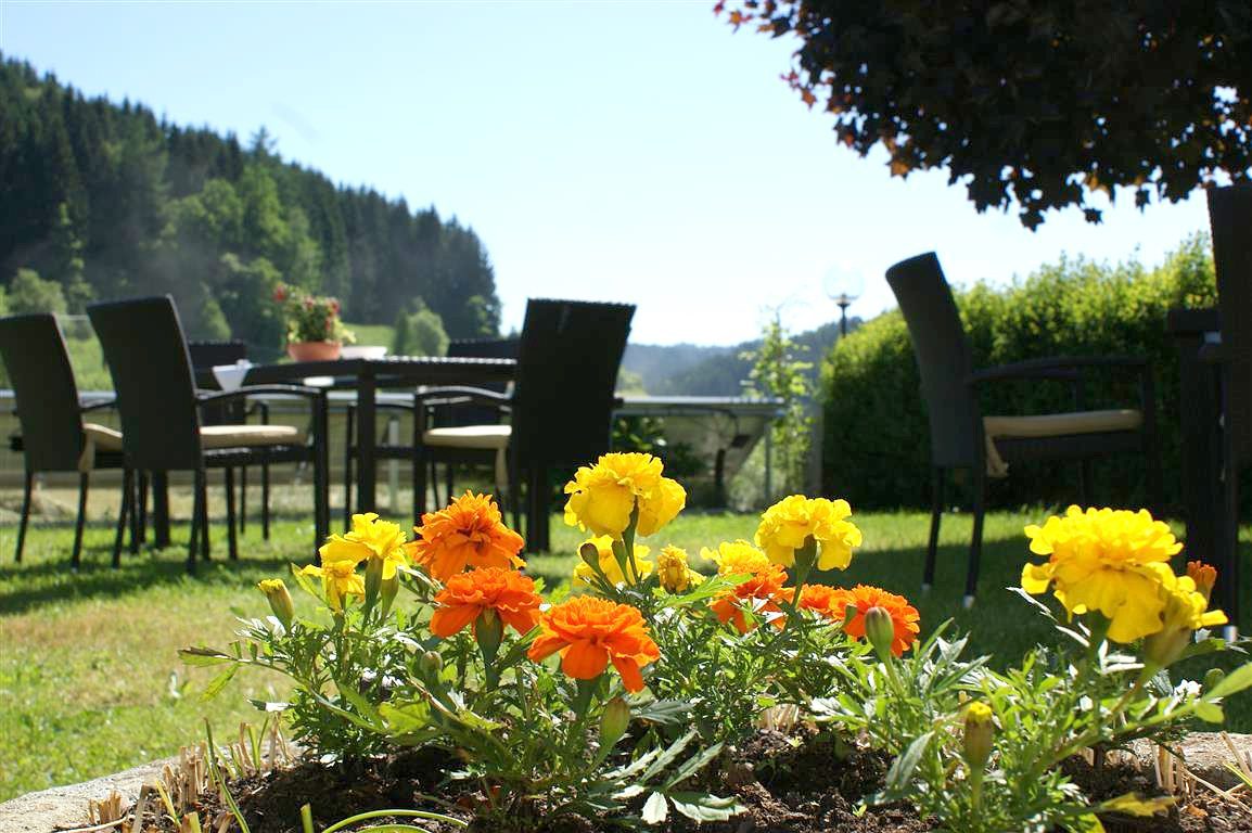 Restaurant (gasthof trinkl, gasthaus und gästezimmer, pierbach)