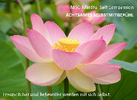 Achtwochenkurs Achtsames Selbstmitgefühl - Mindful Self Compassion
