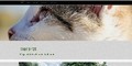 Atemberaubende Homepagestartseiten September