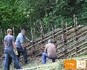 "Stellen, Bähen, Binden" - Ein Kurs rund um den Bänderzaun