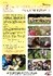 Kinderakademie Sommer 2017