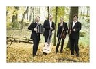 OÖ Concertschrammeln mit Markovics - Linz Theater