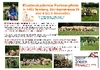 Kinderakademie Partnerpfote in Ternberg von 4. bis 5. November