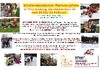 Kinderakademie Partnerpfote von 24. - 25. Februar