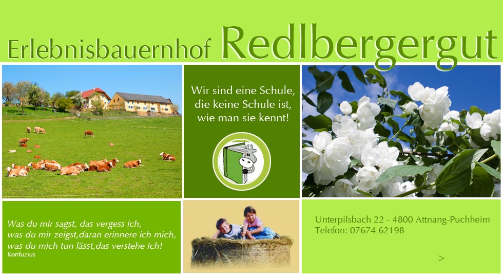 redlberger neu