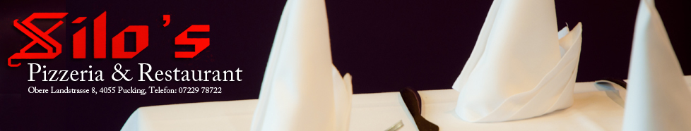 Silos banner.neu