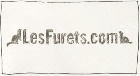 lesfurets thumb