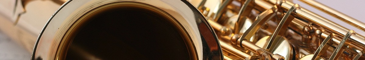 brasswiesn 2