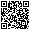 QR Code Handyversion