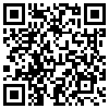 QR Code Handyversion