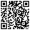 QR Code Handyversion