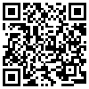 QR Code Handyversion