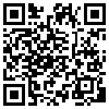 QR Code Handyversion