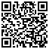 QR Code Handyversion