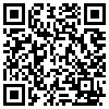 QR Code Handyversion