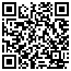 QR Code Handyversion