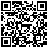 QR Code Handyversion