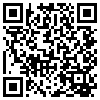 QR Code Handyversion