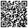 QR Code Handyversion