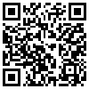 QR Code Handyversion