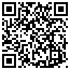 QR Code Handyversion