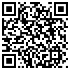 QR Code Handyversion