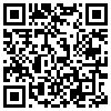 QR Code Handyversion