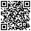 QR Code Handyversion