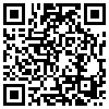 QR Code Handyversion