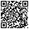 QR Code Handyversion