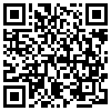 QR Code Handyversion