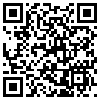 QR Code Handyversion