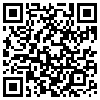 QR Code Handyversion