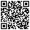 QR Code Handyversion