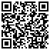 QR Code Handyversion