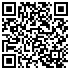 QR Code Handyversion