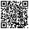 QR Code Handyversion