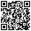 QR Code Handyversion