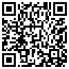 QR Code Handyversion