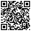 QR Code Handyversion