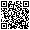 QR Code Handyversion