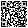 QR Code Handyversion