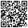 QR Code Handyversion