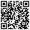 QR Code Handyversion