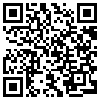 QR Code Handyversion