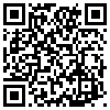 QR Code Handyversion