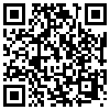 QR Code Handyversion