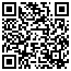 QR Code Handyversion