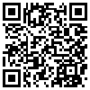 QR Code Handyversion