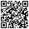 QR Code Handyversion